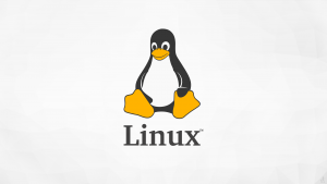 Linux系统中touch命令